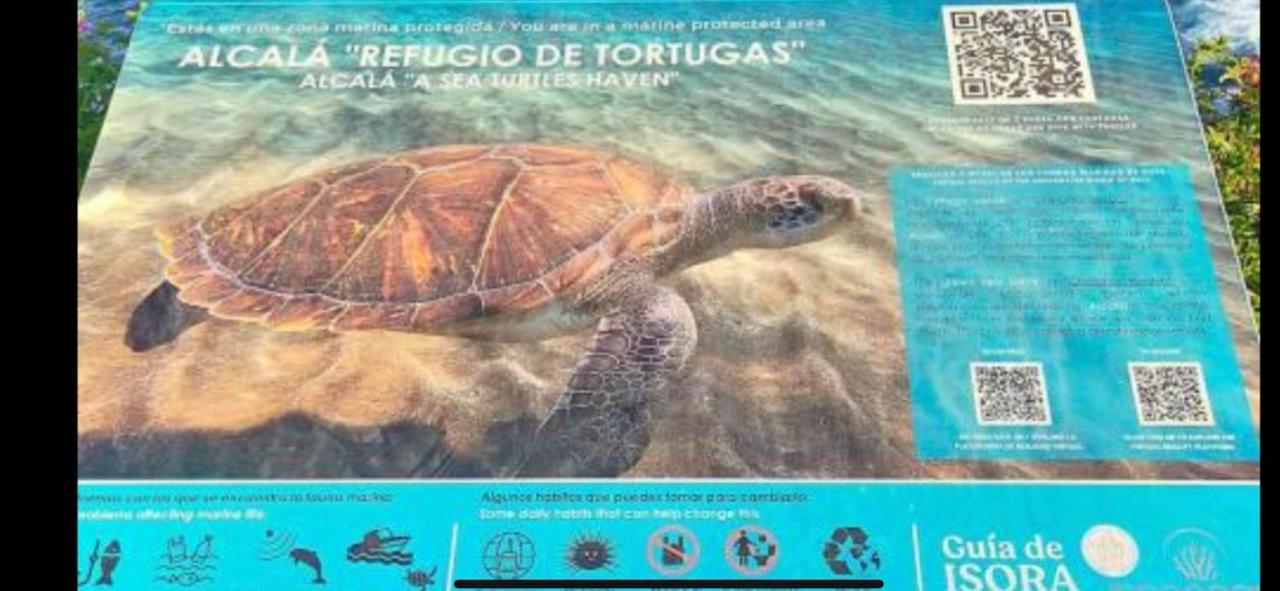 Alcala Center A 5 Minutos Del Paseo Y Playas Leilighet Eksteriør bilde